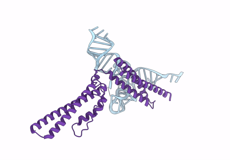 9C3I image