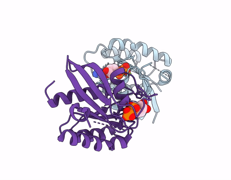 9C3R image
