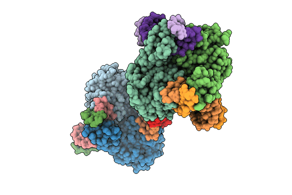 9C3S image