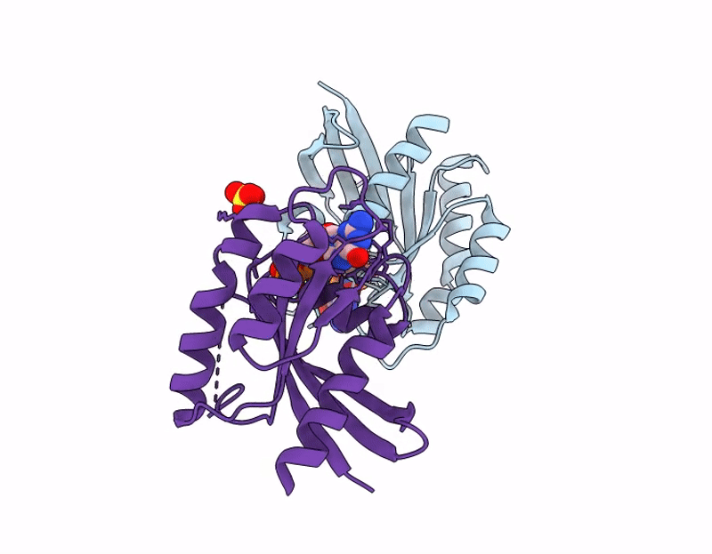 9C3V image