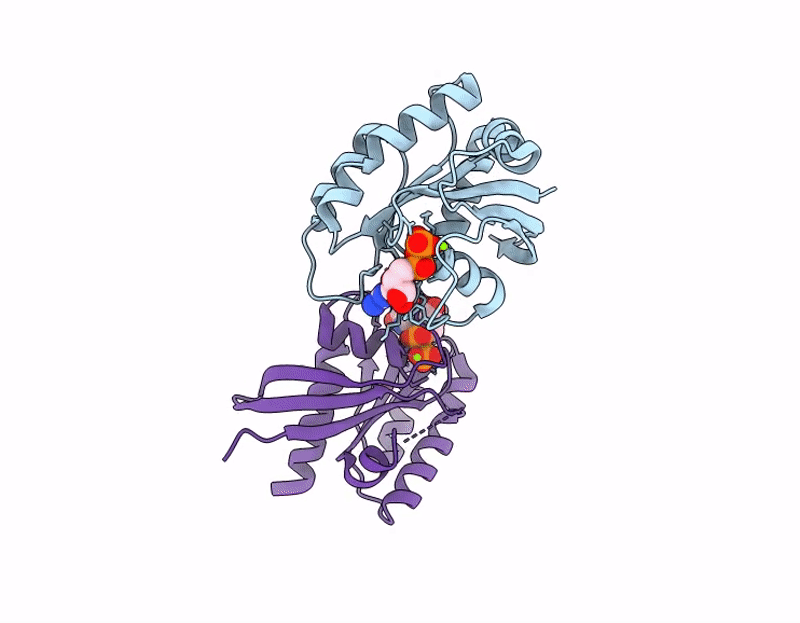 9C40 image