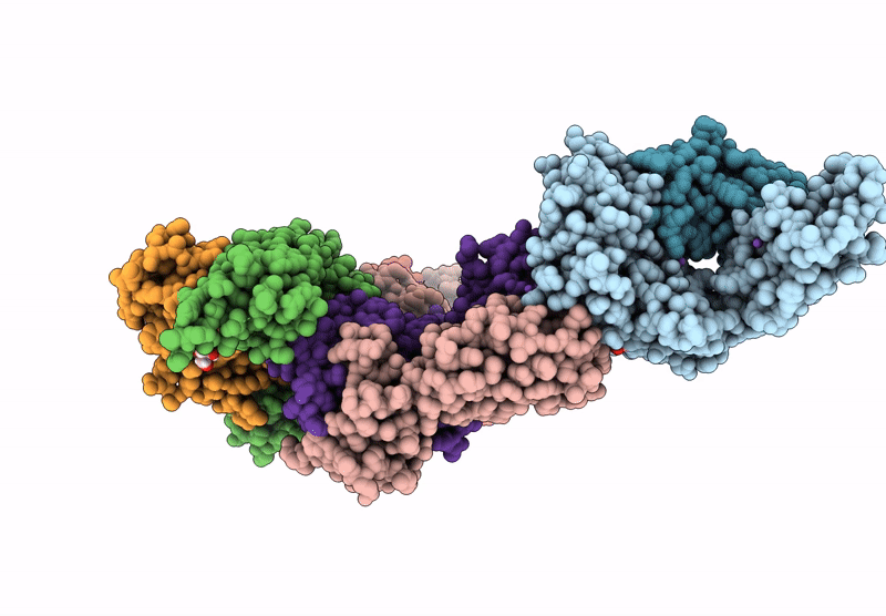 9C42 image