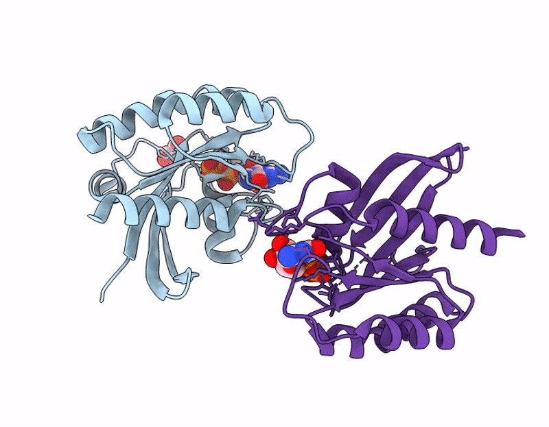 9C43 image