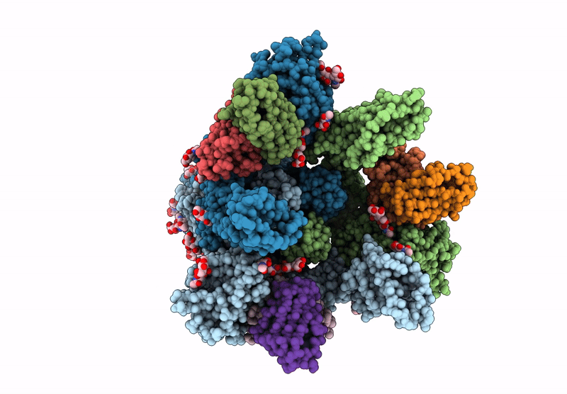 9C44 image