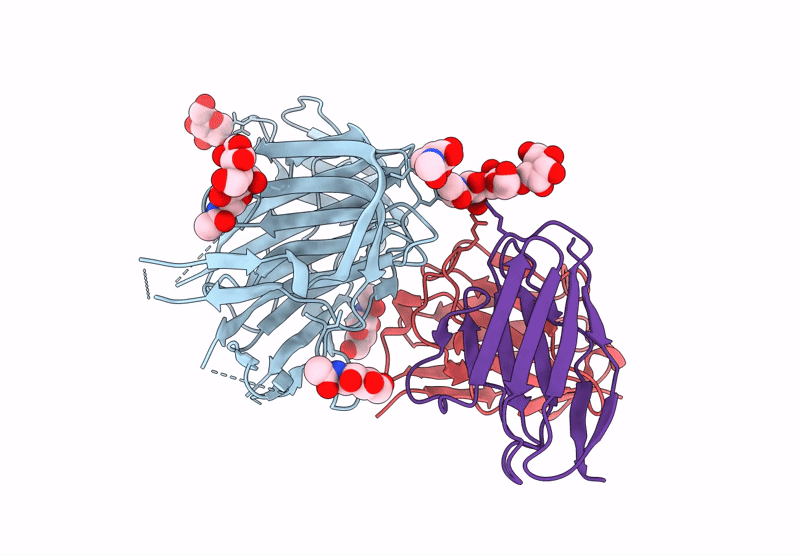 9C45 image