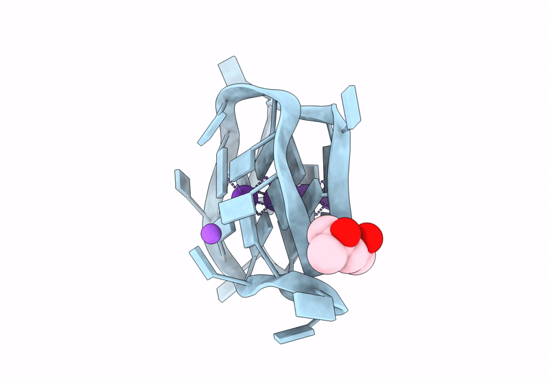 9C46 image