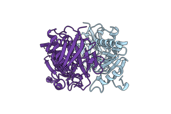 9C49 image