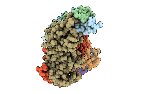 9C4C image
