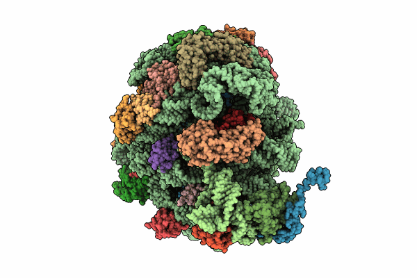 9C4G image