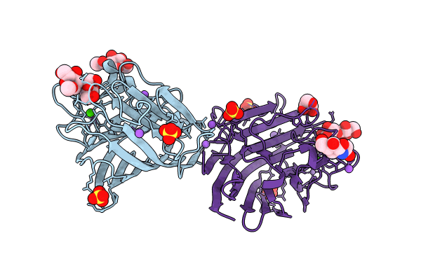 9C4I image