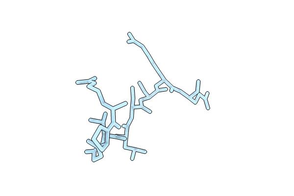 9C4N image