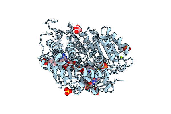 9C4P image