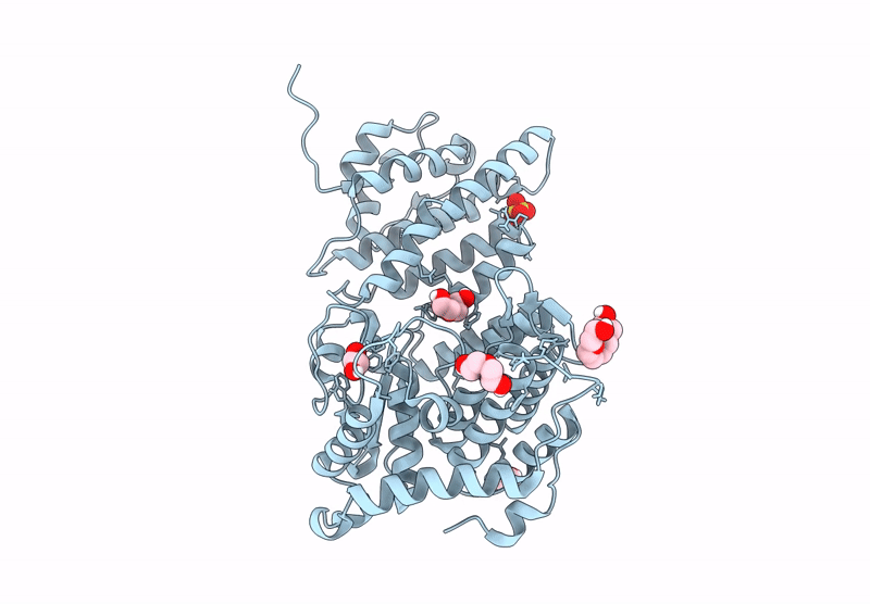 9C4Y image