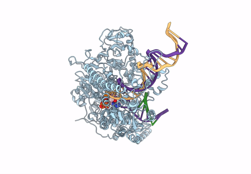 9C52 image