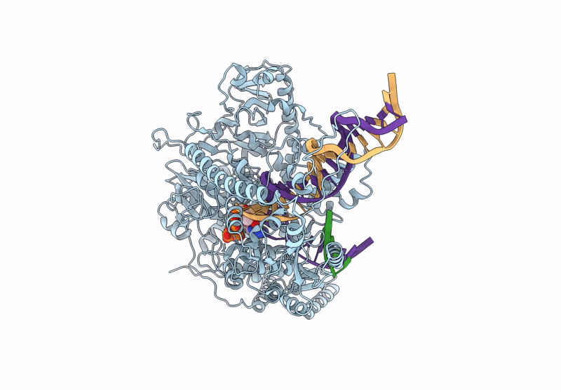 9C53 image