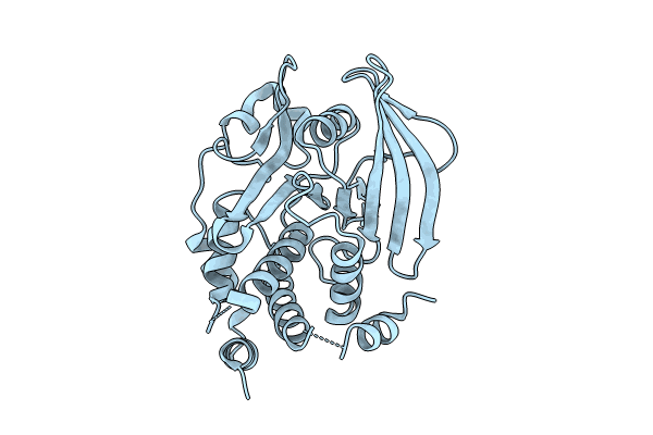 9C54 image