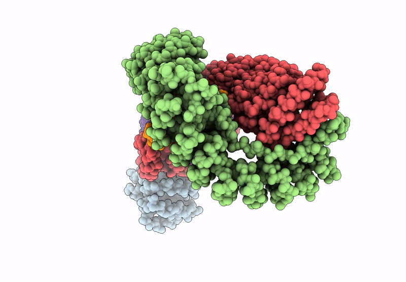 9C58 image