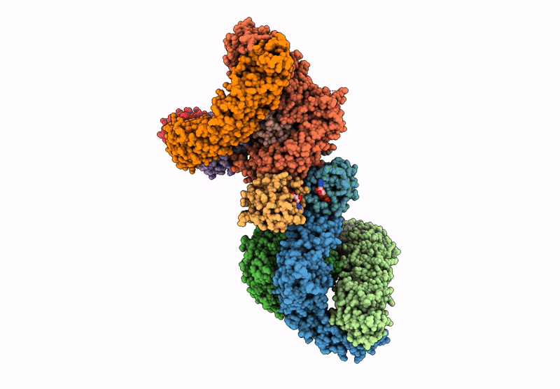 9C59 image