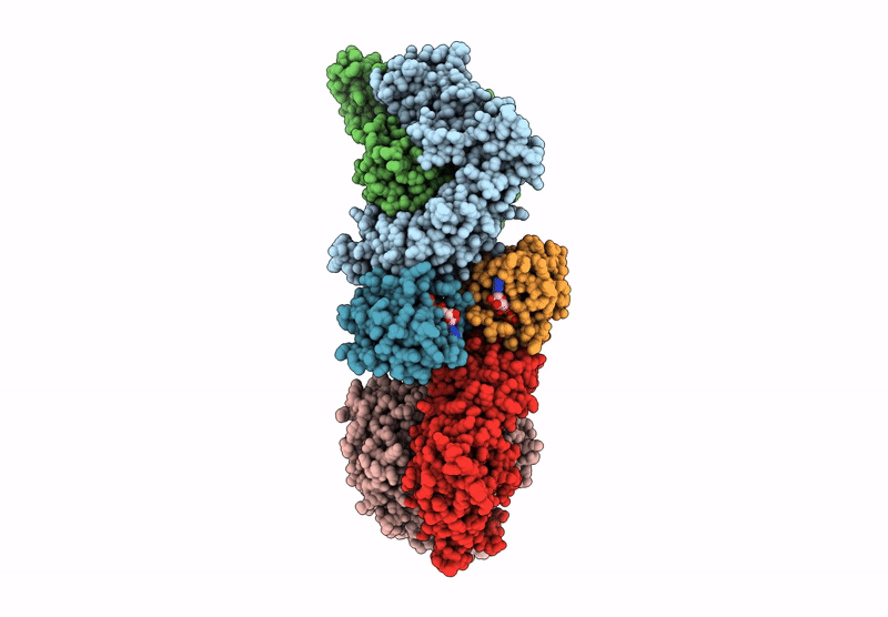 9C5A image