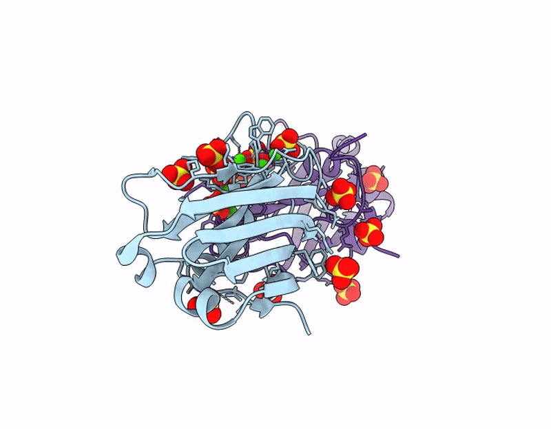 9C5F image