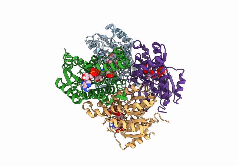 9C5L image