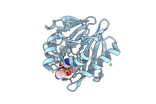 9C5P image