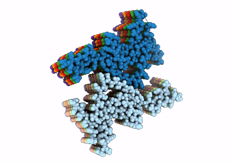 9C5R image