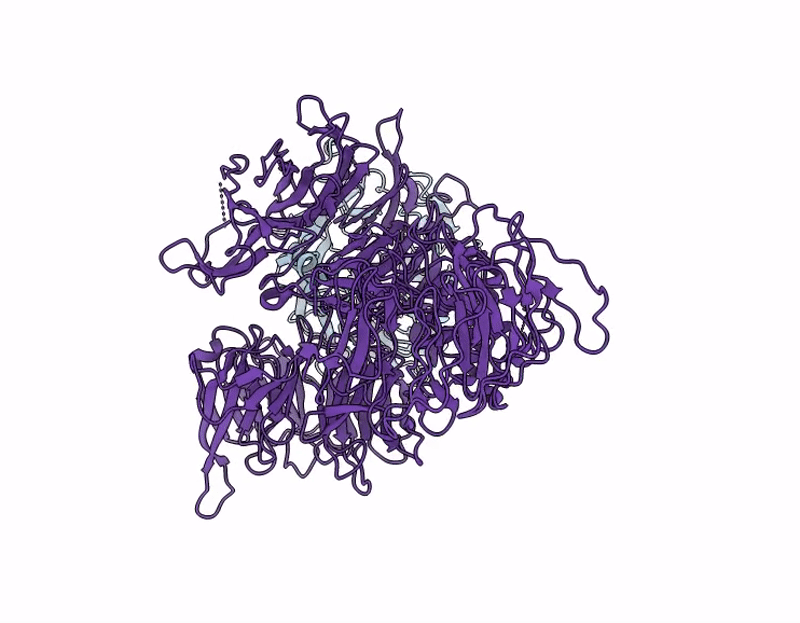 9C5T image