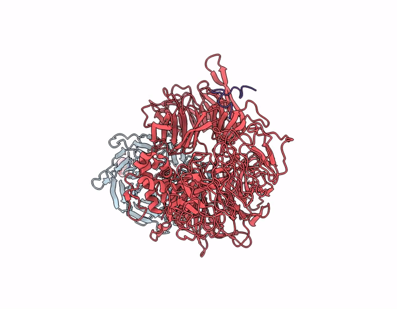 9C5U image