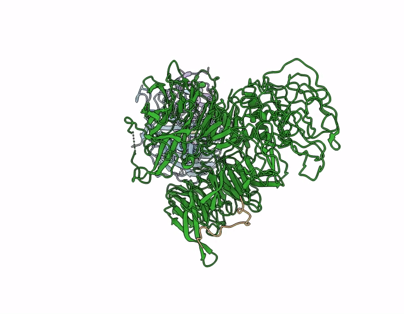 9C5V image