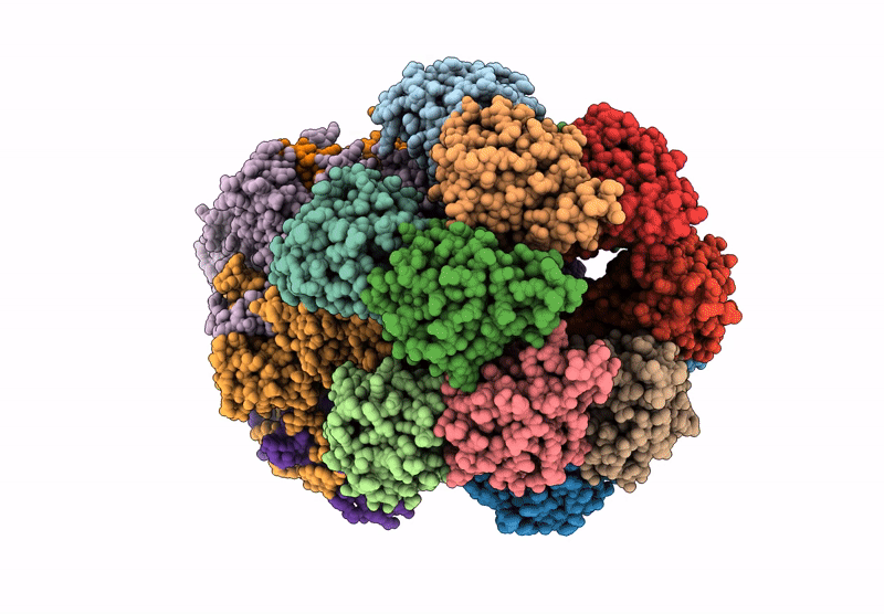 9C5X image