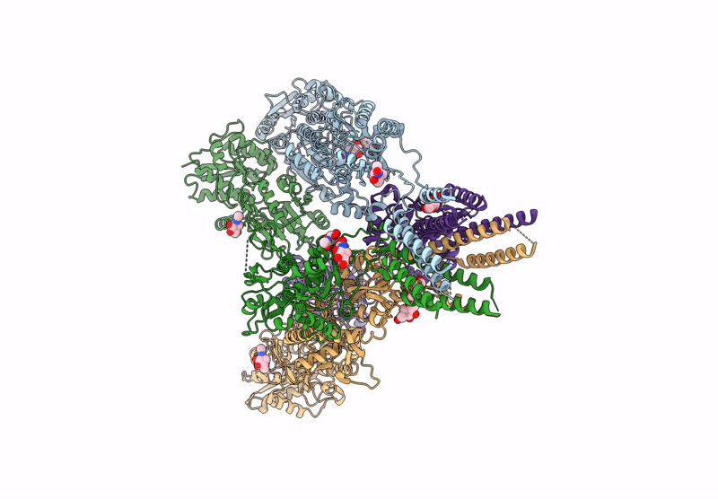 9C60 image