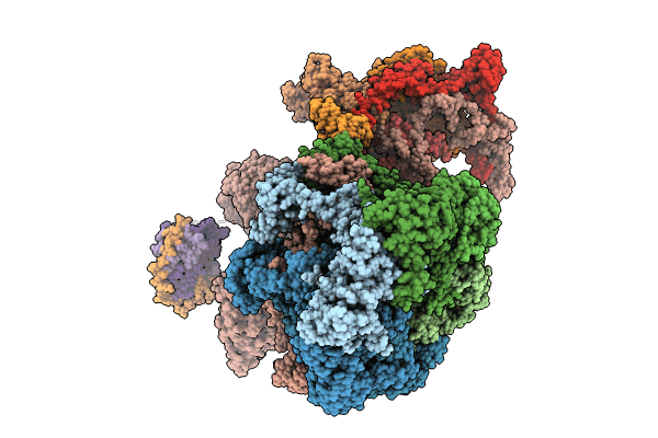 9C62 image