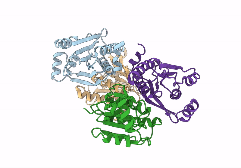 9C6A image