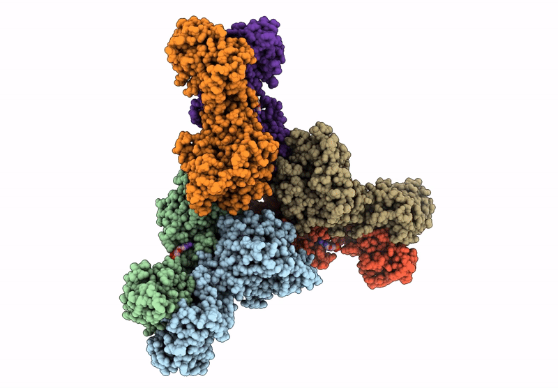 9C6C image