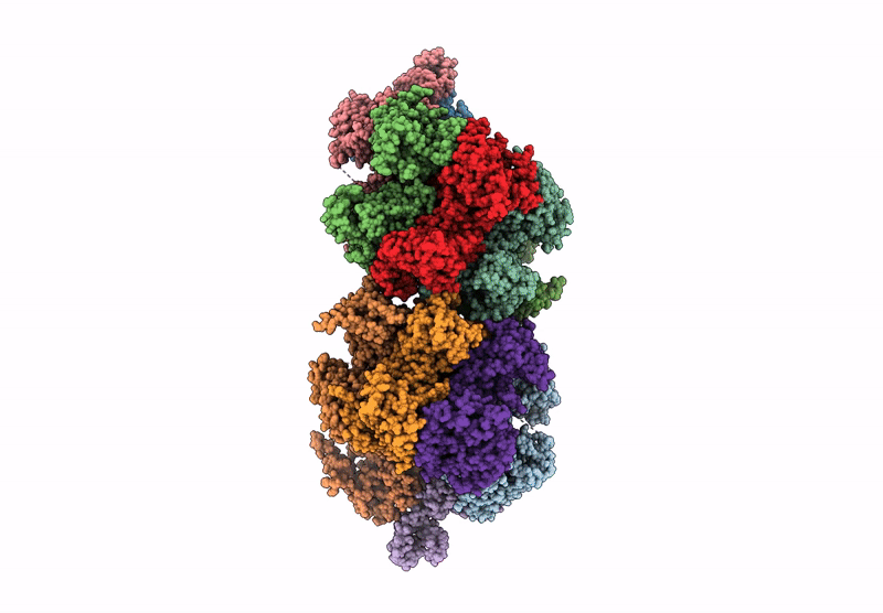 9C6G image