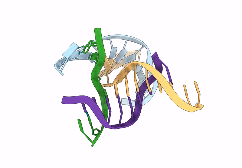 9C6H image