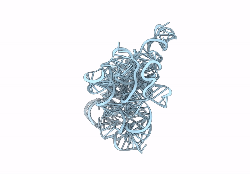 9C6J image
