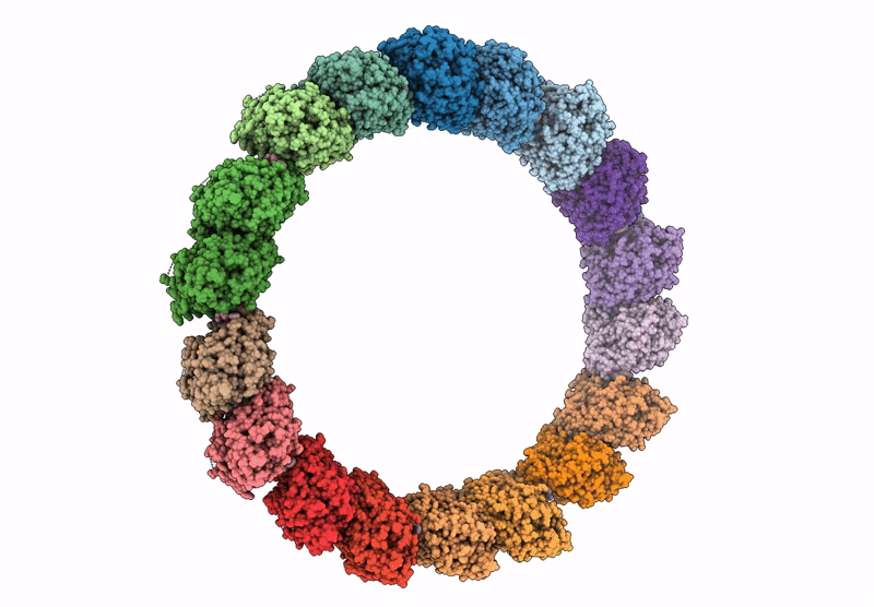 9C6S image