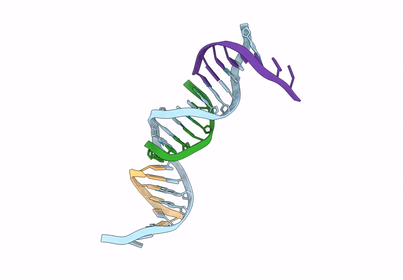 9C6U image