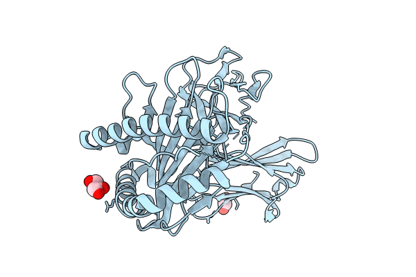 9C6V image