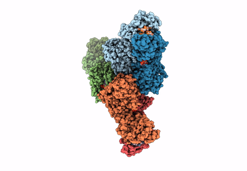 9C77 image