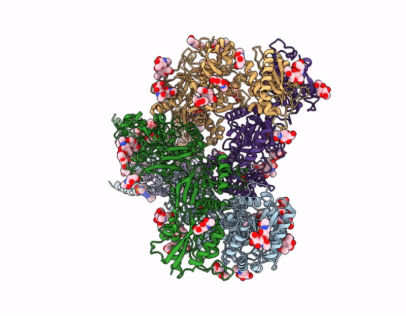 9C7C image