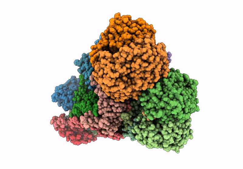 9C7H image