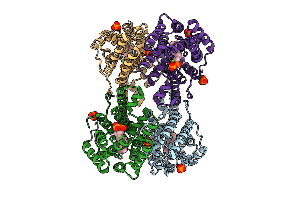9C7J image