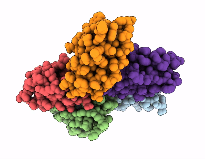 9C7N image