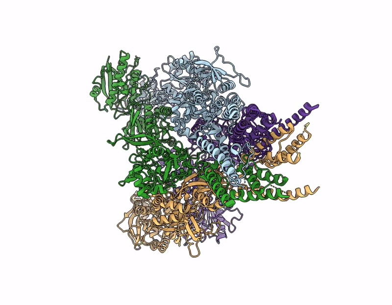 9C7P image