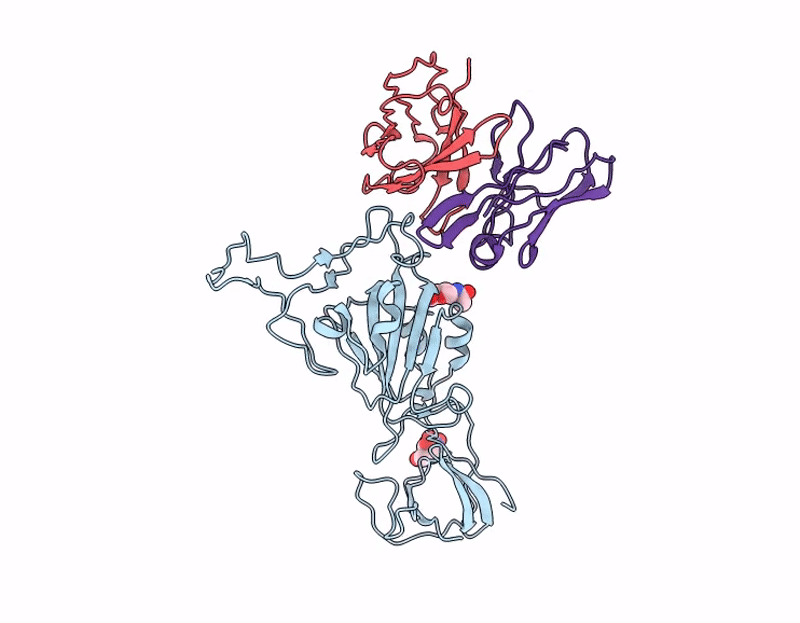 9C7S image
