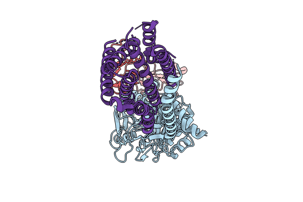 9C7U image