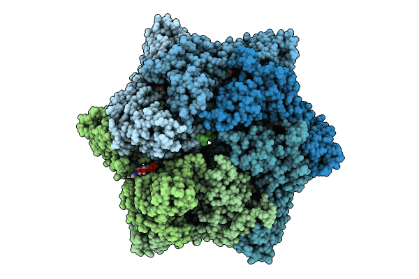 9C88 image